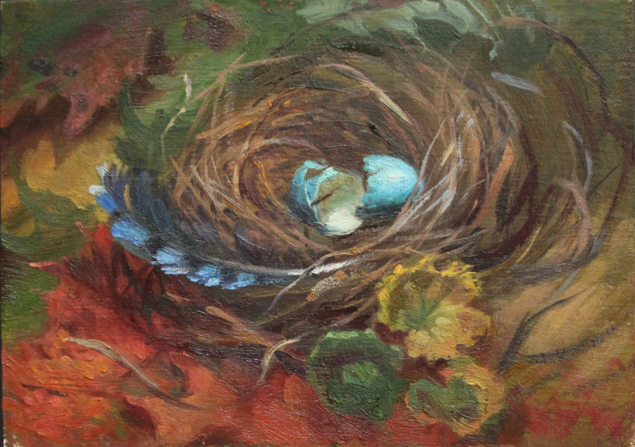 A Nest
